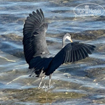 фото из отзыва ID 2679578