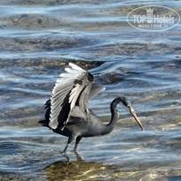 фото из отзыва ID 2679578