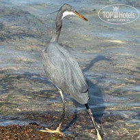 фото из отзыва ID 2679578