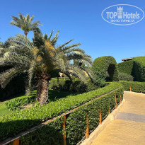 фото из отзыва ID 2679578