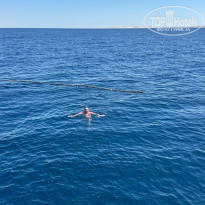 фото из отзыва ID 2679578