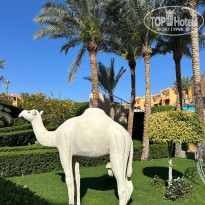 фото из отзыва ID 2679578