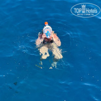 фото из отзыва ID 2679578