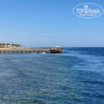 фото из отзыва ID 2679578