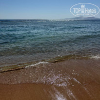 фото из отзыва ID 2679578