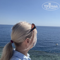 фото из отзыва ID 2679584