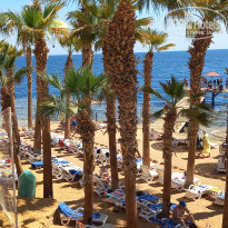 фото из отзыва ID 2679608