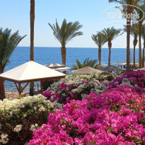 фото из отзыва ID 2679608