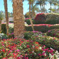 фото из отзыва ID 2679608