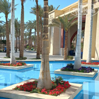 фото из отзыва ID 2679608