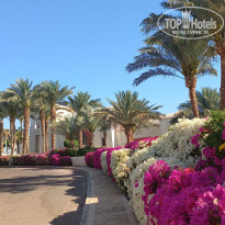 фото из отзыва ID 2679608