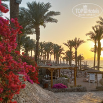 фото из отзыва ID 2679608