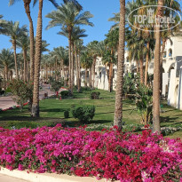 фото из отзыва ID 2679608