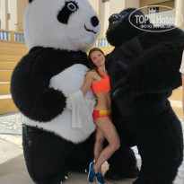 фото из отзыва ID 2679624