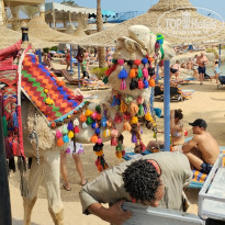 фото из отзыва ID 2679624