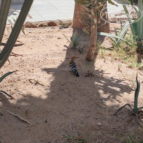 фото из отзыва ID 2679699