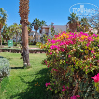 фото из отзыва ID 2679699