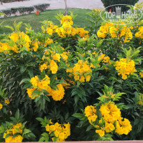 фото из отзыва ID 2679699