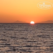 фото из отзыва ID 2679699