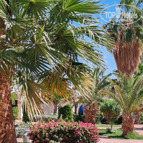 фото из отзыва ID 2679699