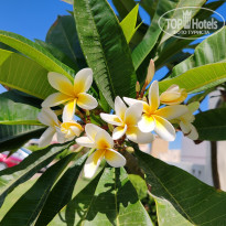 фото из отзыва ID 2679699