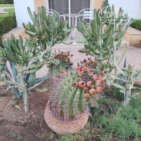 фото из отзыва ID 2679699