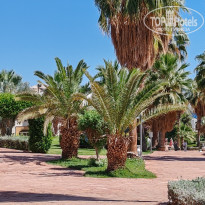 фото из отзыва ID 2679699