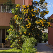 фото из отзыва ID 2679711