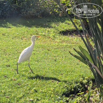 фото из отзыва ID 2679711