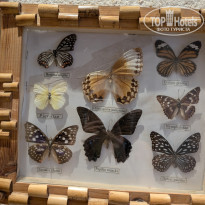 фото из отзыва ID 2679711