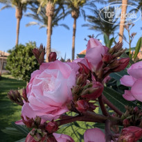 фото из отзыва ID 2679711