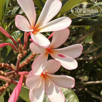 фото из отзыва ID 2679733