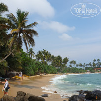 фото из отзыва ID 2679475