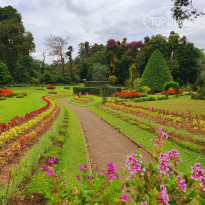 фото из отзыва ID 2679475