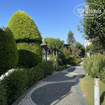 фото из отзыва ID 2679779