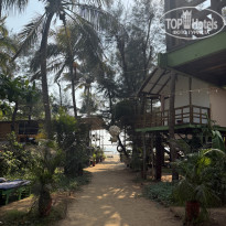 фото из отзыва ID 2679798