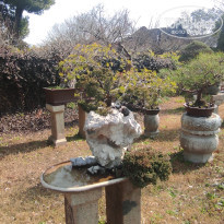 фото из отзыва ID 2679713