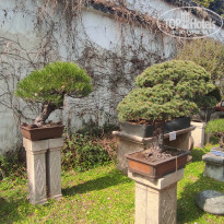 фото из отзыва ID 2679713