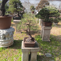 фото из отзыва ID 2679713