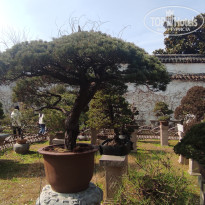 фото из отзыва ID 2679713