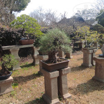 фото из отзыва ID 2679713