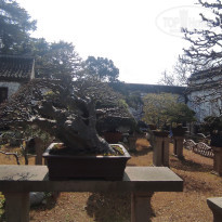 фото из отзыва ID 2679713