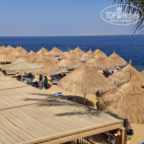 фото из отзыва ID 2679812