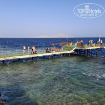 фото из отзыва ID 2679812