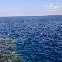 фото из отзыва ID 2679812