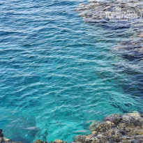 фото из отзыва ID 2679812