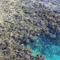 фото из отзыва ID 2679812