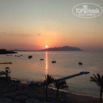 фото из отзыва ID 2679807