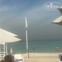 фото из отзыва ID 2679862