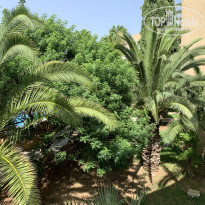 фото из отзыва ID 2679876